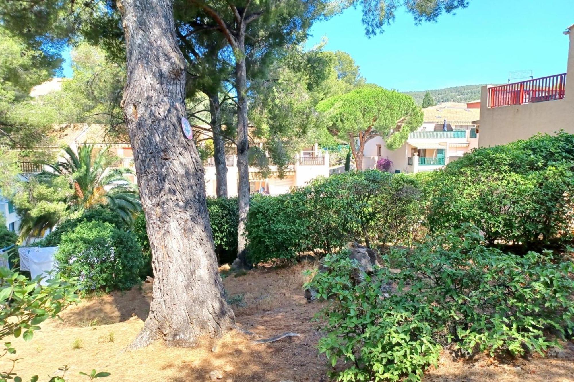 With Pool - Near The Apartment